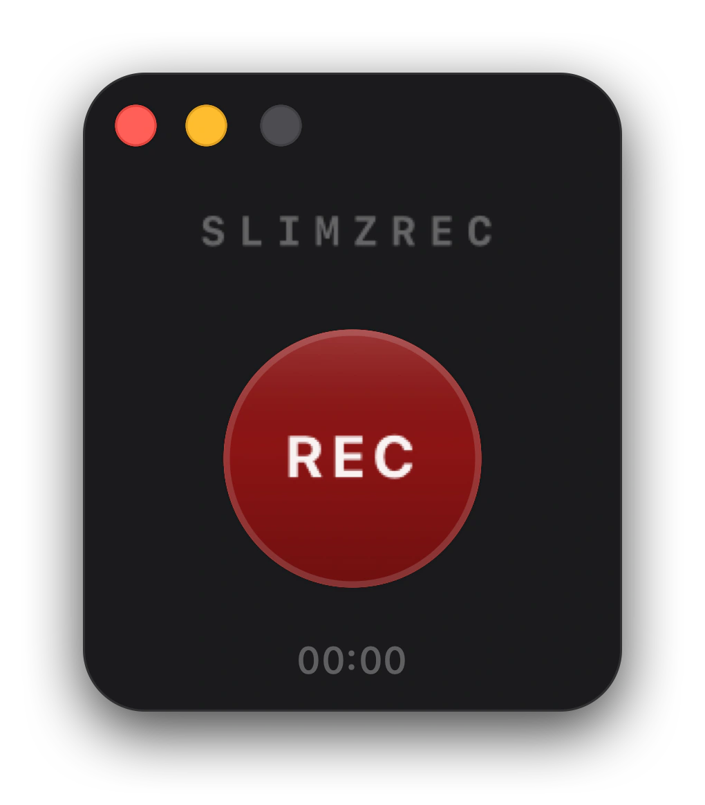 Интерфейс SLIMZREC
