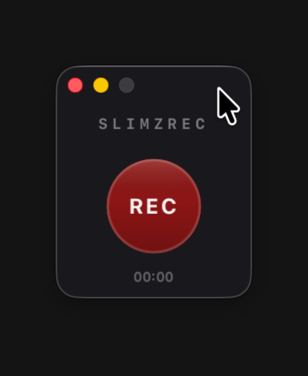 Интерфейс SLIMZREC